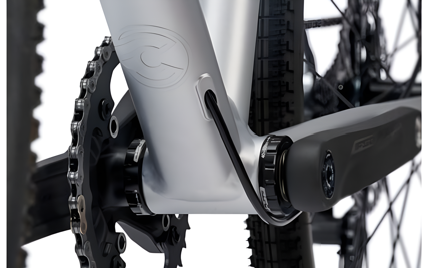 ZYDECO Silver Bootleg