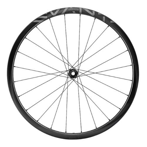 Campagnolo Levante 700c DB 2WF- N3W